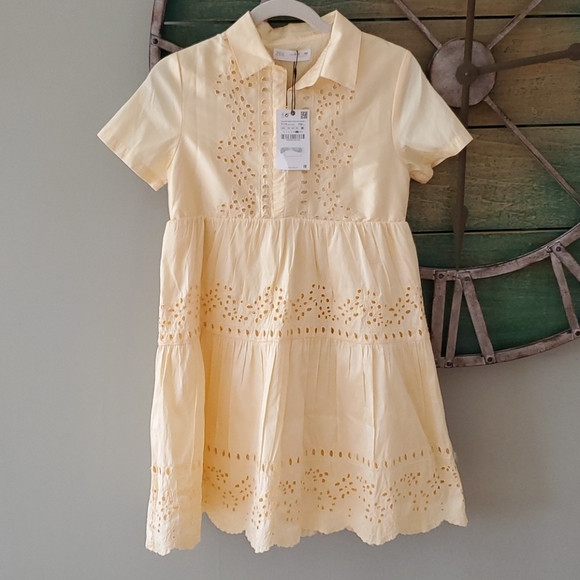 Zara Taffeta dress with embroidery